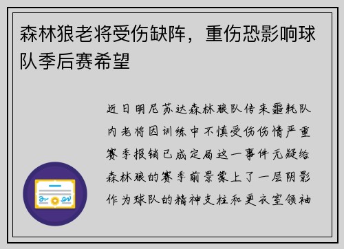 森林狼老将受伤缺阵，重伤恐影响球队季后赛希望