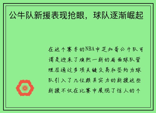 公牛队新援表现抢眼，球队逐渐崛起